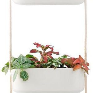 Mkono Hanging Planter Wall Planter for Indoor Plants, Flower Plant Ceramic Pots for Succulent Herb Air Plant Holder Faux Plants Vertical Garden, Home Office Decor 3 Tier, White (Plant Not Included)