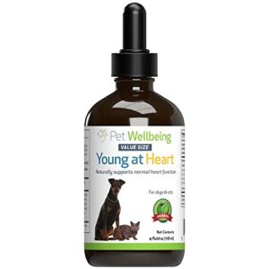 pet wellbeing young at heart for dogs & cats - vet-formulated - supports cardiovascular (heart & circulatory) health - natural herbal supplement 4 oz (118 ml)