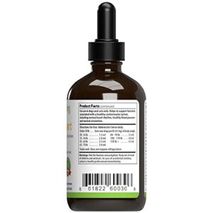 Pet Wellbeing Young at Heart for Dogs & Cats - Vet-Formulated - Supports Cardiovascular (Heart & Circulatory) Health - Natural Herbal Supplement 4 oz (118 ml)