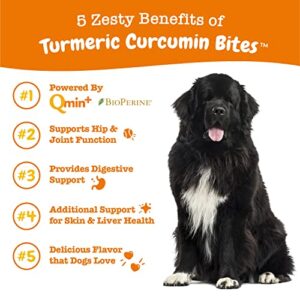 Zesty Paws Turmeric Curcumin for Dogs - for Hip & Joint Mobility Supports Canine Digestive Cardiovascular & Liver Health Coconut Oil for Skin Health with 95% Curcuminoids + BioPerine Duck, 90 Count