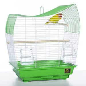 Prevue Pet Products South Beach Wave Top Bird Cage, Lime Green (SP50081)