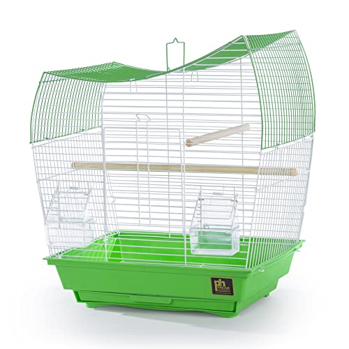 Prevue Pet Products South Beach Wave Top Bird Cage, Lime Green (SP50081)