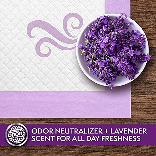 Simple Solution 6-Layer All Day Premium Dog Pads | Lavender Scent | 23 x 24 100 pads