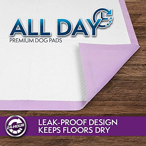 Simple Solution 6-Layer All Day Premium Dog Pads | Lavender Scent | 23 x 24 100 pads