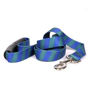 yellow dog design team spirit blue green ez-grip dog leash-with comfort handle-small/medium-3/4 5' x 60"
