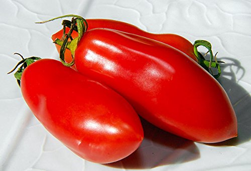 30+ Italian San Marzano Paste Tomato Seeds, Heirloom Non-GMO, Indeterminate, Open-Pollinated, Productive, Delicious, from USA