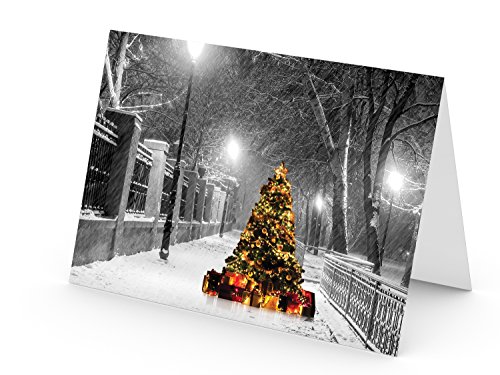 Christmas Cards, Holiday Cards - One Jade Lane - Lighted Tree in the Snow, 5x7, Heavy Stock, Set of 18 Cards & Envelopes, Seasons Greetings Cards.