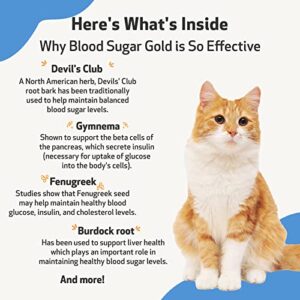 Pet Wellbeing - Blood Sugar Gold for Cats - Natural Support for Healthy Blood Sugar Levels in Diabetic Cats - Insulin Stabilization & Normal Pancreatic Function - 2 oz (59 ml)