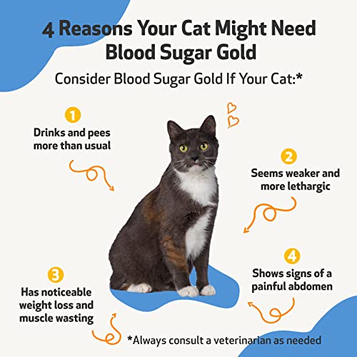 Pet Wellbeing - Blood Sugar Gold for Cats - Natural Support for Healthy Blood Sugar Levels in Diabetic Cats - Insulin Stabilization & Normal Pancreatic Function - 2 oz (59 ml)