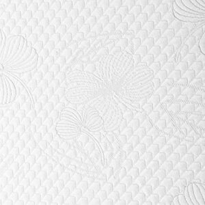 Olee Sleep 6 Inch Memory Foam Mattress, Twin XL, White