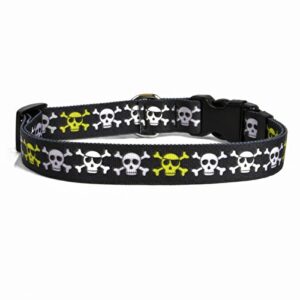 yellow dog design boy skulls dog collar 3/8" wide and fits neck 8 to 12", x-small, multi-color, (idbs102)
