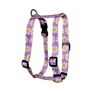 yellow dog design lavender daisy roman style h dog harness, small/medium