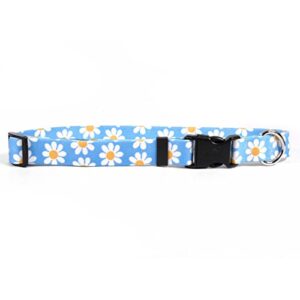 yellow dog design blue daisy dog collar 3/8" wide and fits neck 8 to 12", x-small, (bdsy102)