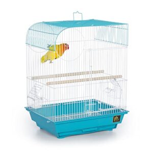prevue pet products south beach flat top bird cage, teal (sp50061)