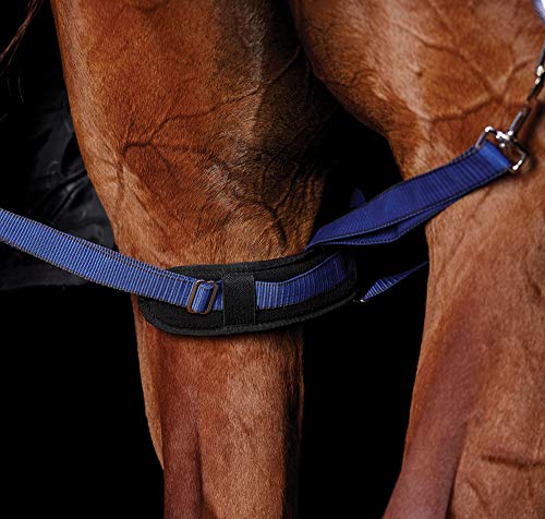 WeatherBeeta Padded Leg Straps