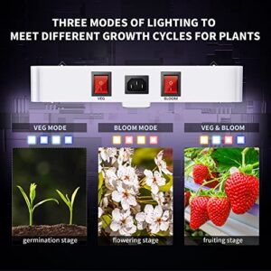 KingLED 2023 Newest 2000w LED Grow Lights with LM301B LEDs 5 * 5 ft Coverage Full Spectrum Grow Lights for Indoor Hydroponic Plants Greenhouse Growing Lamps Veg Bloom Daul Mode