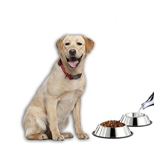 Mlife Stainless Steel Dog Bowl with Rubber Base for Small/Medium/Large Dogs, Pets Feeder Bowl and Water Bowl Perfect Choice (Set of 2)