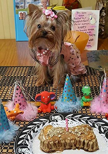 Petcakes Birthday Cake Kit For Dogs, 7" x 4.5" x 3"