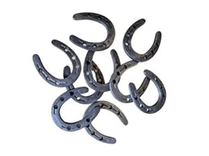 carver's olde iron zinc mini horseshoes (perfect holes) 50 pc set decoration and crafts 2" x 1 3/4" w/token