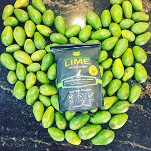 First Saturday Lime for Insects 20lb