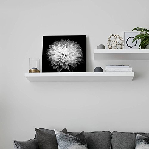 SUMGAR Black and White Wall Art for Bedroom Modern Plant Flower Canvas Paintings Floral Pictures Nuture Botanical Artwork,12x12 in
