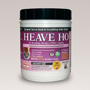 equine medical and surgical heave ho 30 day (molasses) 30s