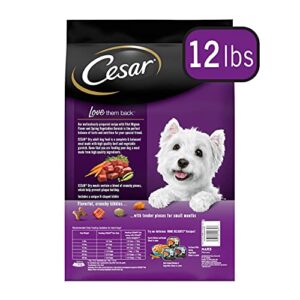 CESAR Small Breed Dry Dog Food Filet Mignon Flavor with Spring Vegetables Garnish Dog Kibble, 12 lb. Bag