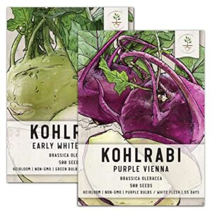 seed needs, kohlrabi seed packet collection (purple/white, 2 individual varieties for planting) heirloom, non-gmo & untreated