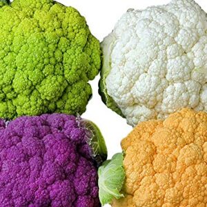 Please Read! This is A Mix!!! 50+ Cauliflower Mix Seeds Heirloom Non-GMO 4 Varieties Purple Green Yellow Delicious from USA