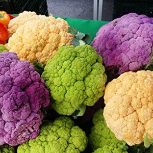 Please Read! This is A Mix!!! 50+ Cauliflower Mix Seeds Heirloom Non-GMO 4 Varieties Purple Green Yellow Delicious from USA