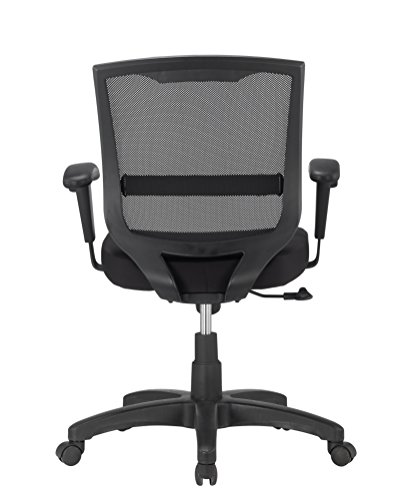 Eurotech Seating Maze Task Chair Mesh, Black