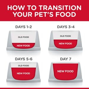 Hill's Science Diet Kitten Liver & Chicken Entrée Wet Cat Food, 2.9 oz. Cans, 24-Pack