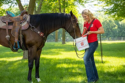 Exceed 6-Way (50lb) High Level Performance Horse Support