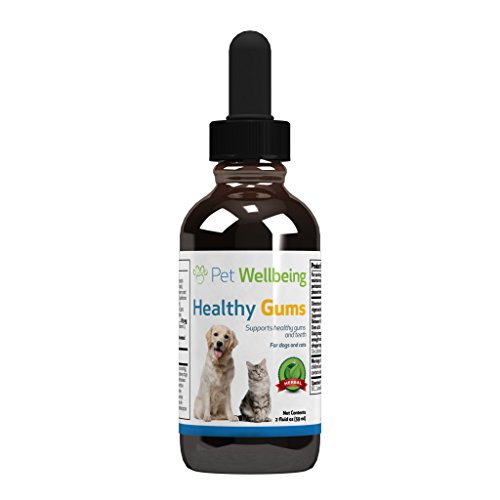 Pet Wellbeing - Healthy Gums for Cats - Natural Support for for Healthy Gums, Teeth and Breath in Felines - 2oz (59ml)