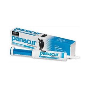 PANACUR Dewormer HORSE PASTE 10%, 100mg (Pack of 2)