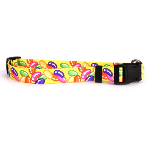 Yellow Dog Design Jelly Beans Dog Collar 1" Wide and Fits Neck 18 to 28", Large