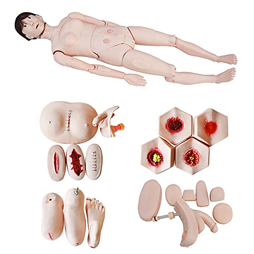 INTBUYING 2in1 Education Model Patient Care Manikin Advanced Multifunctional Training Dual Sex Mannequin, Patient Care Teaching Human Manikin(Man and Woman)