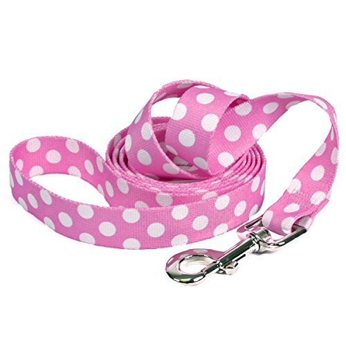 Yellow Dog Design Watermelon Polka Dot Dog Leash-Size Large-1 Inch Wide and 5 feet (60 inches) Long