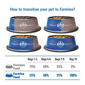 Lamb & Blueberry Adult Mini