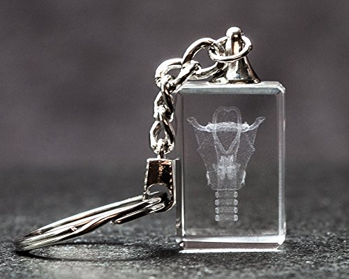 Larynx 3D Laser Crystal Key Chain, Anatomy, Voice Box, Singing, Adam's Apple