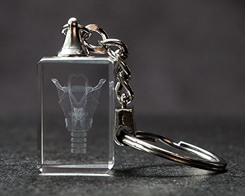 Larynx 3D Laser Crystal Key Chain, Anatomy, Voice Box, Singing, Adam's Apple