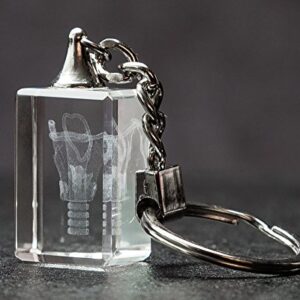 Larynx 3D Laser Crystal Key Chain, Anatomy, Voice Box, Singing, Adam's Apple