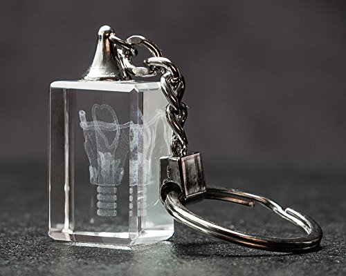 Larynx 3D Laser Crystal Key Chain, Anatomy, Voice Box, Singing, Adam's Apple