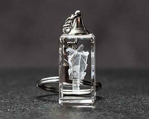 Larynx 3D Laser Crystal Key Chain, Anatomy, Voice Box, Singing, Adam's Apple