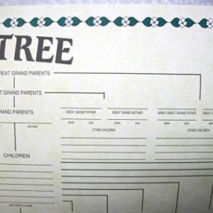 Family Tree Chart Genealogy