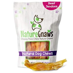 nature gnaws tendons for dogs - premium natural beef dental sticks - single ingredient - long lasting tasty dog chew treats - rawhide free 12 count (pack of 1)