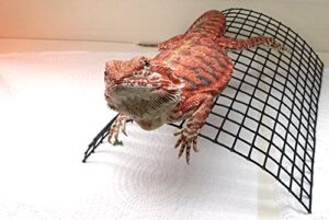 carolina custom cages' bearded dragon tanning arch, reptile habitat accessory