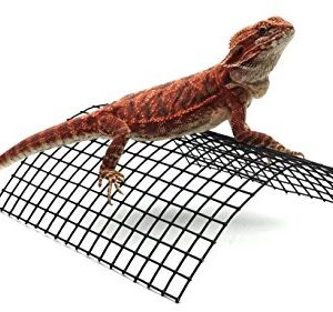 Carolina Custom Cages' Bearded Dragon Tanning Arch, Reptile Habitat Accessory