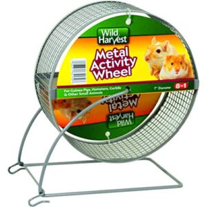 wild harvest 7 inch metal pet activity wheel for guinea pigs, hamsters, gerbils and other small animals