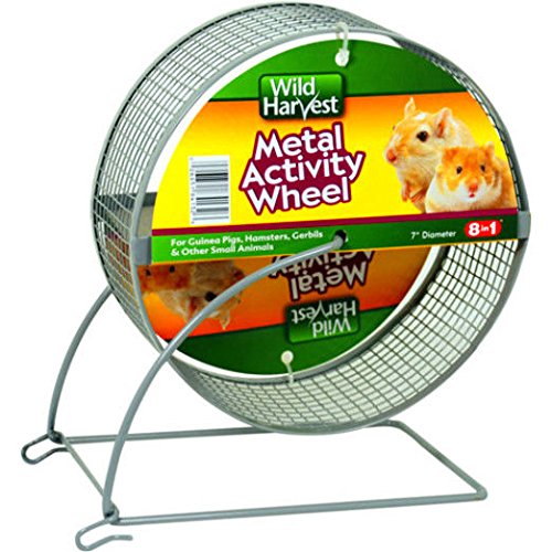 Wild Harvest 7 inch Metal Pet Activity Wheel For guinea pigs, hamsters, gerbils and other small animals